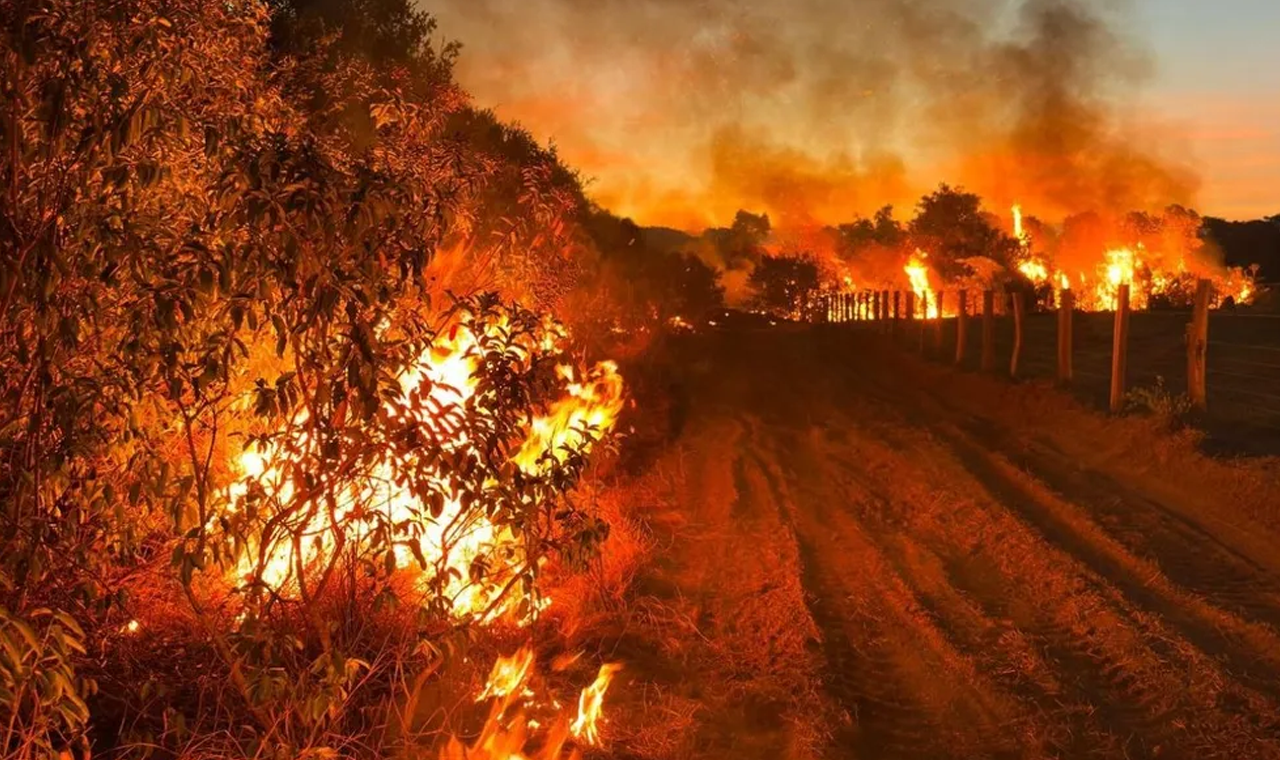 Dona de fazenda onde surgiu grande foco de incêndio no Pantanal é multada em R$ 19 milhões