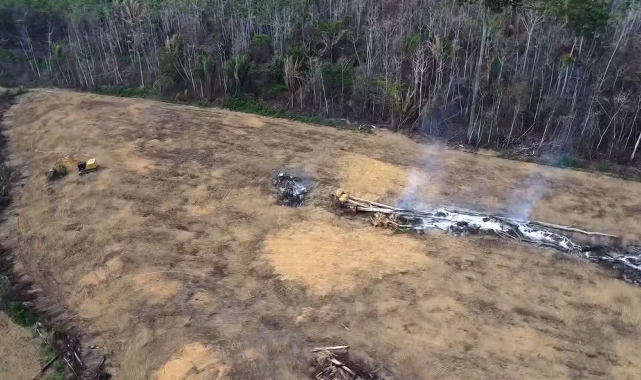 Pesquisadores alertam sobre os efeitos devastadores dos megaincêndios para a Amazônia