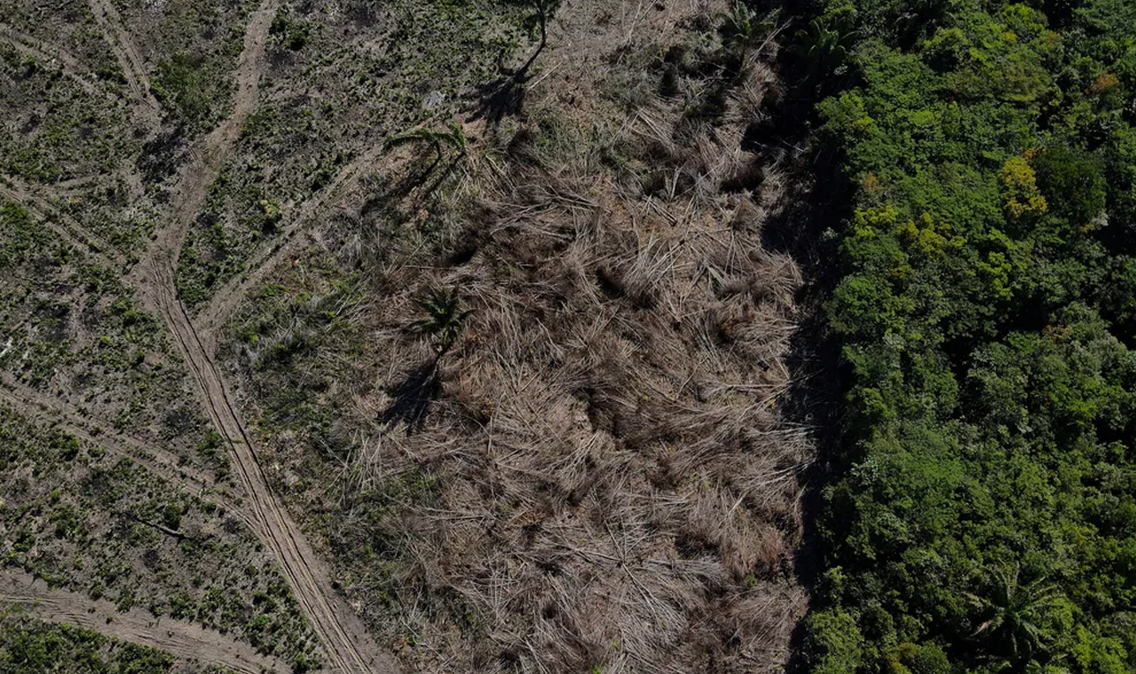 Desmatamento em áreas protegidas na Amazônia, como terras indígenas, tem a menor taxa em 9 anos, aponta Imazon